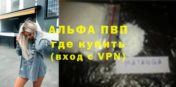 молекула духа Щигры