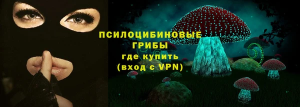 молекула духа Щигры