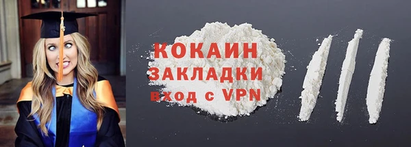 молекула духа Щигры