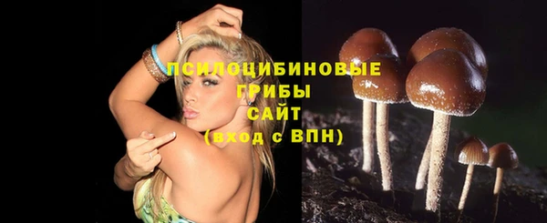 apvp Абдулино