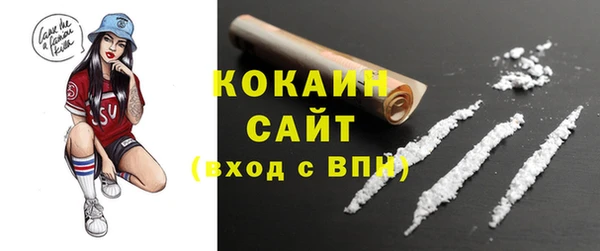 молекула духа Щигры