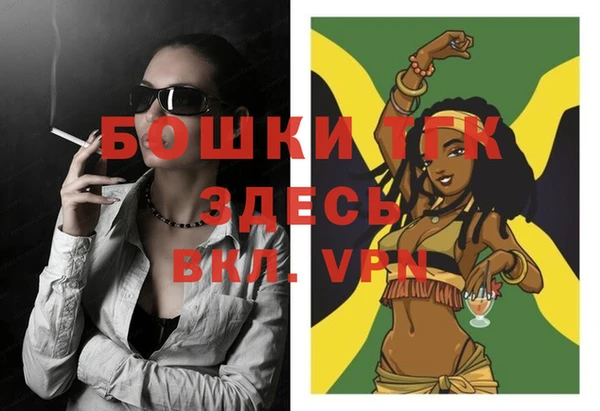 молекула духа Щигры
