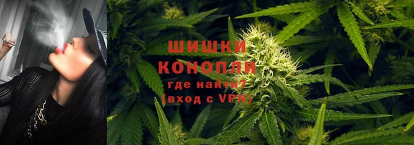 ешки Щучье