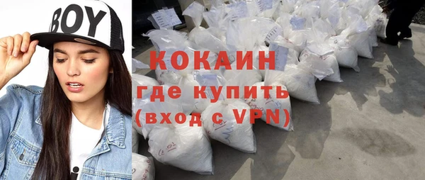 молекула духа Щигры
