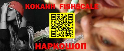 твердый Гатчина