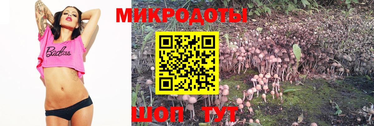 Галлюциногенные грибы Cubensis Дзержинск