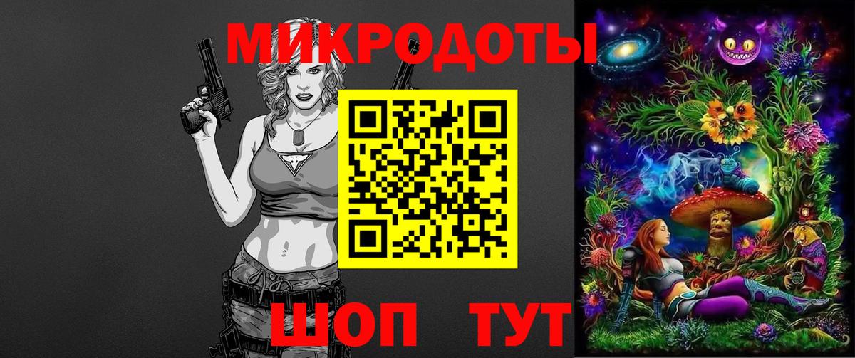 Псилоцибиновые грибы Psilocybine cubensis Дзержинск