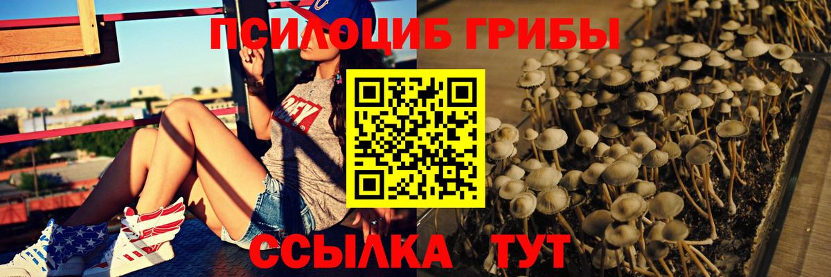 Псилоцибиновые грибы GOLDEN TEACHER  Дзержинск  Псилоцибиновые грибы MAGIC MUSHROOMS 