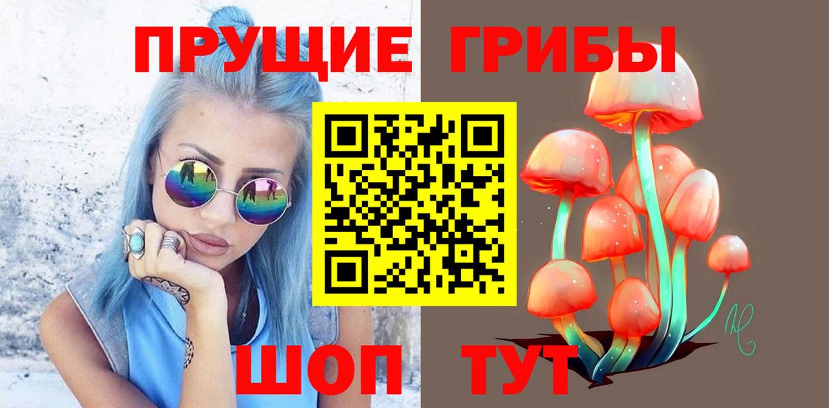 Дзержинск  Псилоцибиновые грибы GOLDEN TEACHER  где найти   Вход с VPN 